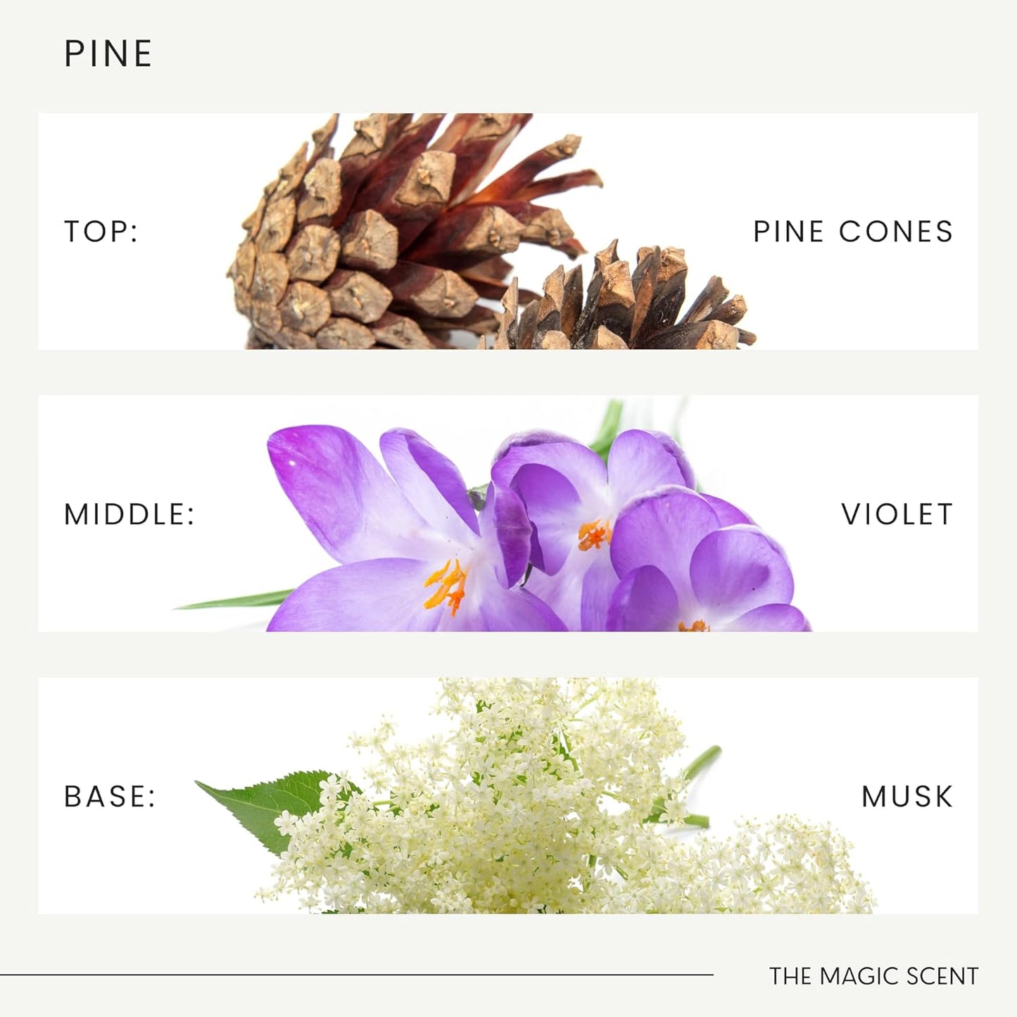 Pine Aroma Oil - Diffuser Scent - Cold-Air & Ultrasonic Diffuser Oil - Pine Essential Aromatherapy - 8.5 fl oz, 250 mL