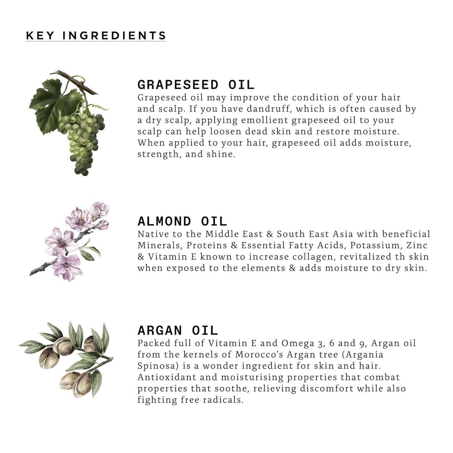 TRIUMPH & DISASTER | Johnny B Beard Oil | Nourish Men’s Skin & Beard - Soothes the Skin & Promotes Beard Growth, 1.35 fl oz