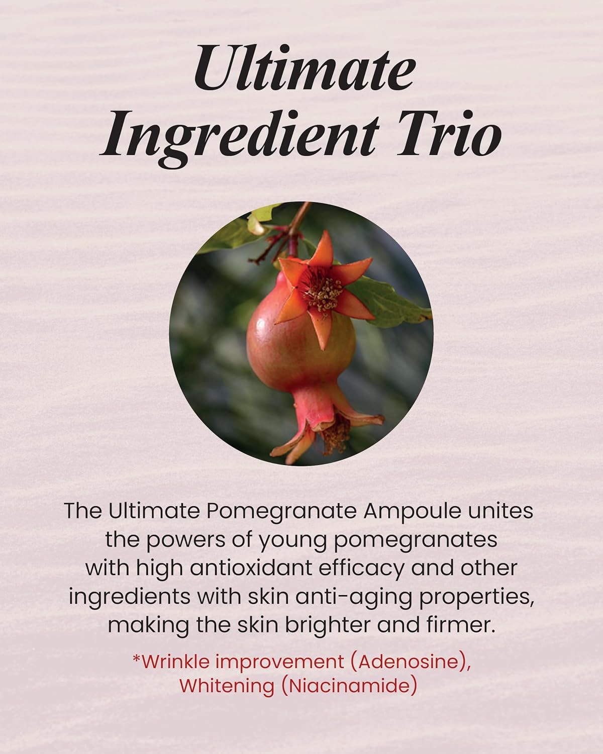 Sooryehan Ultimate Pomegranate (Ampoule Set, 1.9fl oz) - Skin Elasticity, Reduced Wrinkles & Skin Tone Improvement, Elastin, Vitamin C, Adenosine & Niacinamide